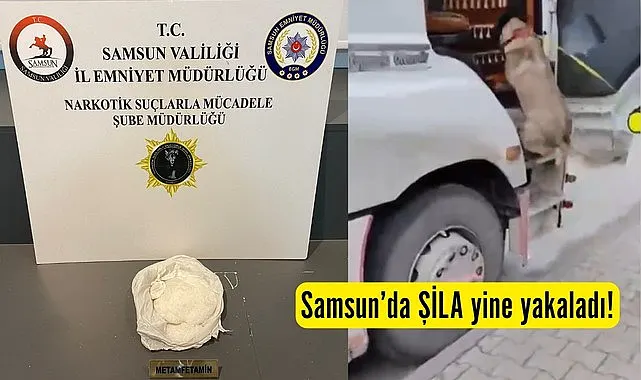 Samsun'da narkotik dedektör köpeği Şila yine yakaladı!