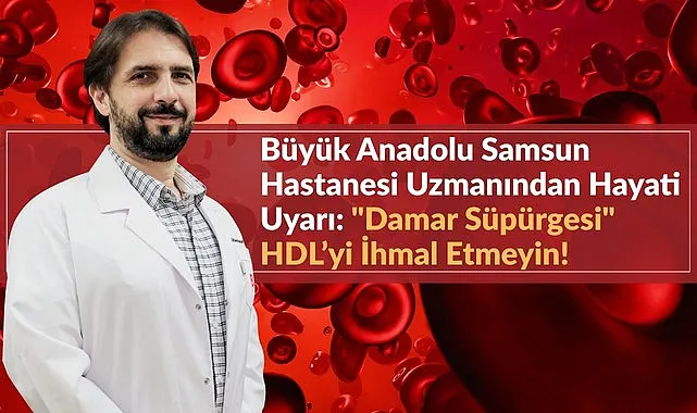 HDL: Damarlarınızdaki Koruyucu Gücü Tanıyor musunuz?