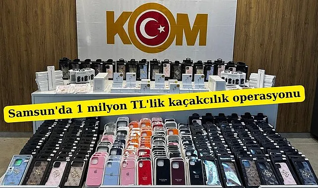 Samsun'da 1 milyon TL'lik kaçakcılık operasyonu