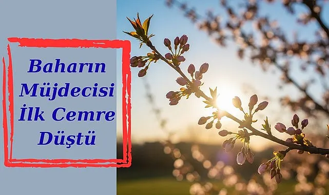 Samsun'da İlk cemre düştü mü, ilk cemre nereye düşecek?