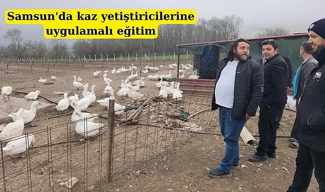 Samsun'da kaz yetiştiricilerine akademik bilgi