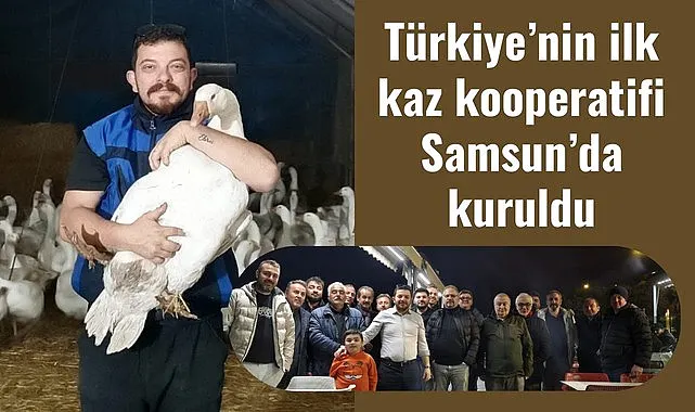 Türkiye'nin ilk Kaz Kooperatifi Samsun'da kuruldu