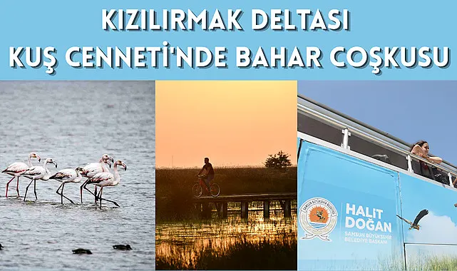 Kızılırmak Deltası Kuş Cenneti'nde bahar coşkusu