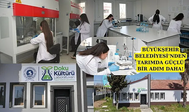 Samsun'da Bitki Doku Kültürü Laboratuvarı açılacak