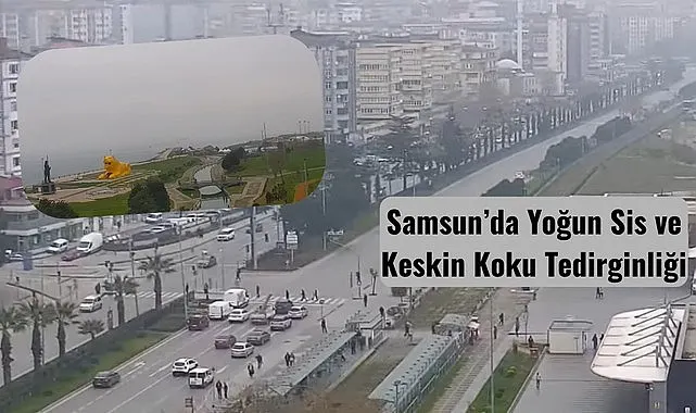 Samsun'da Yoğun Sis ve Keskin Koku Tedirginliği