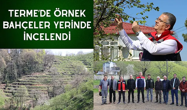Terme’de Örnek Bahçeler Yerinde İncelendi