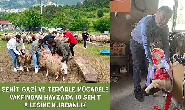 Şehit Gazi ve Terörle Mücadele Vakfından Havza’da 10 şehit ailesine kurbanlık