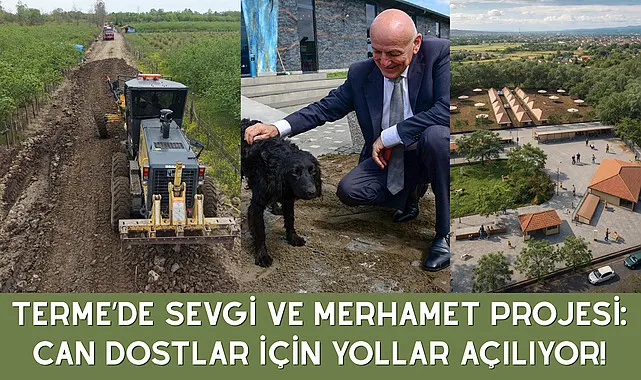Terme'de sevgi ve merhamet projesi: Can dostlar için yollar açılıyor!