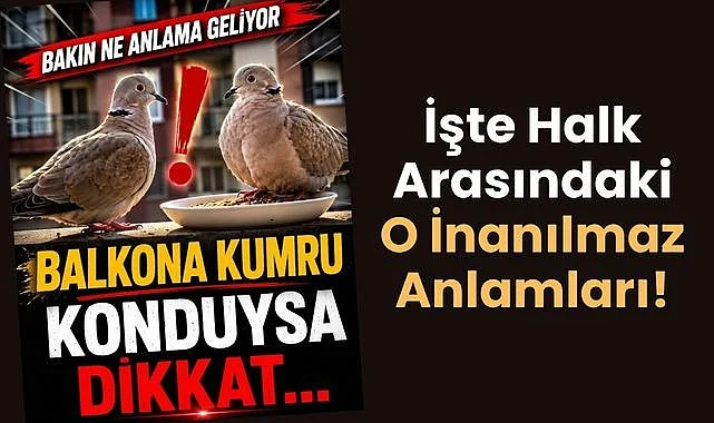 Balkona Kumru Konması Ne Anlama Gelir? İşte Halk Arasındaki O İnanılmaz Anlamları!