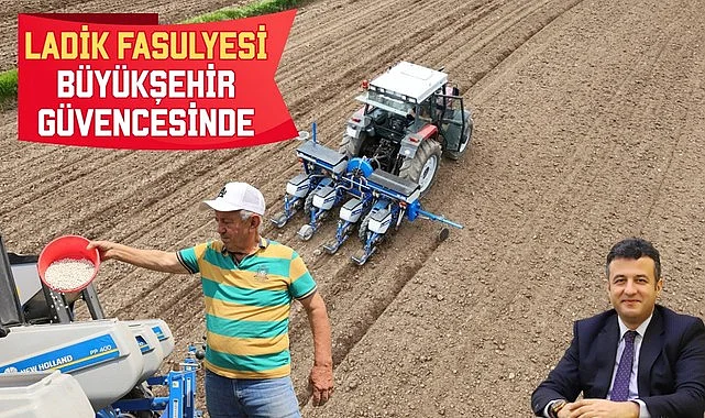 Ladik Fasulyesi Büyükşehir Güvencesinde