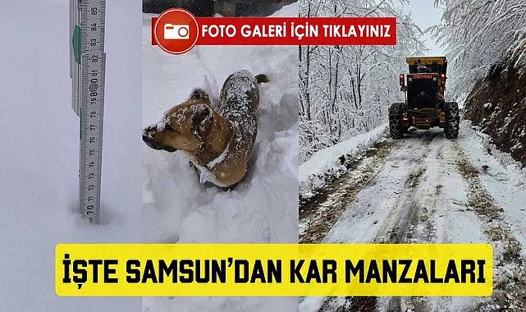Samsun'da 70 cm Kar, Köpek Karın İçinde Kayboldu! Samsun'dan Kar Manzaraları