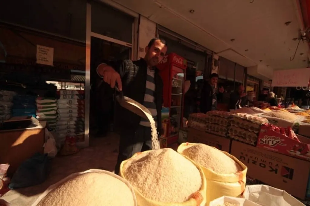 Bataklıktan sofraya pirincin yolculuğu