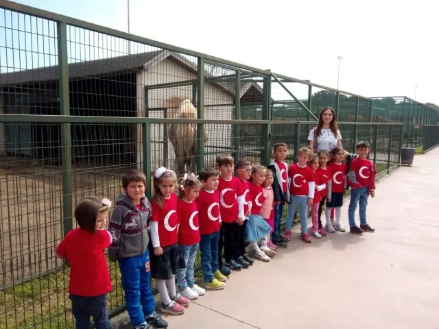 Vezirköprülü minikler ilk kez Samsun'u gördü