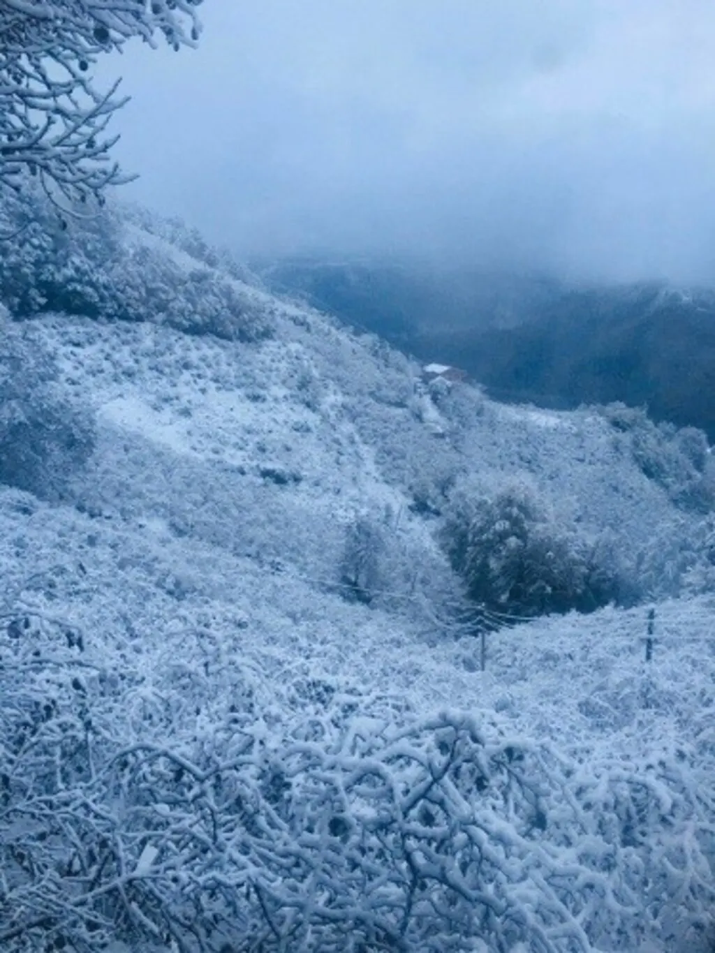 Samsun'un bazı ilçelerine kar yağdı