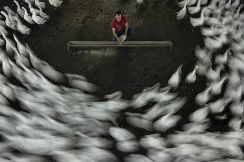 Nebiyan Doğa Festivali Fotoğraf Yarışması Sonuçlandı