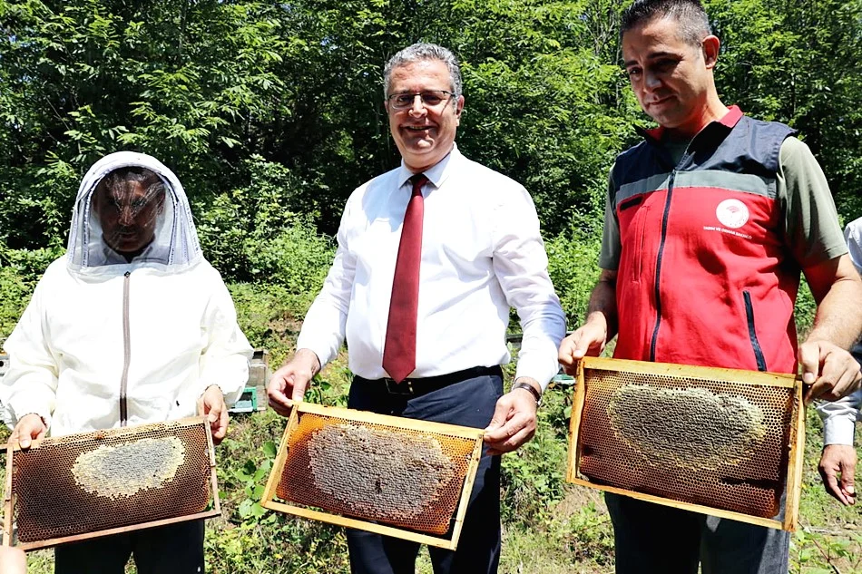 Salıpazarı'nda Kestane Balı Hasatı Başladı - Fotoğraf 2
