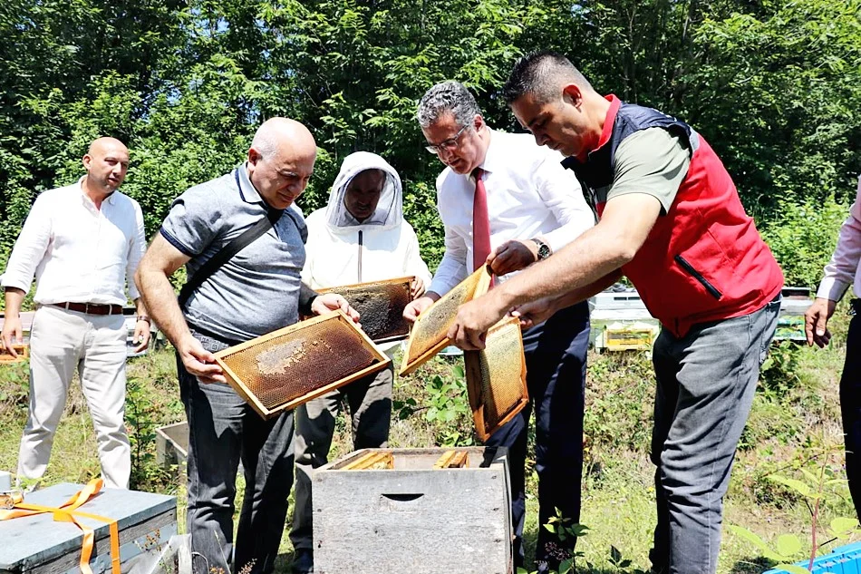 Salıpazarı'nda Kestane Balı Hasatı Başladı - Fotoğraf 6