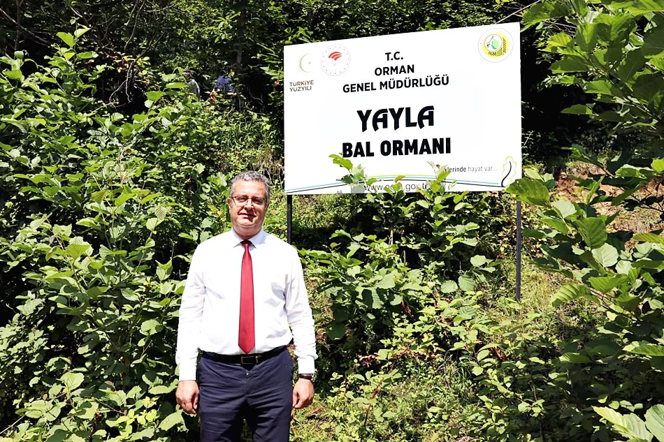 Salıpazarı'nda Kestane Balı Hasatı Başladı - Fotoğraf 9