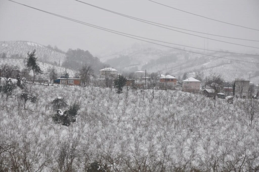 Terme Belediyesi karla mücadele ediyor - Resim 11