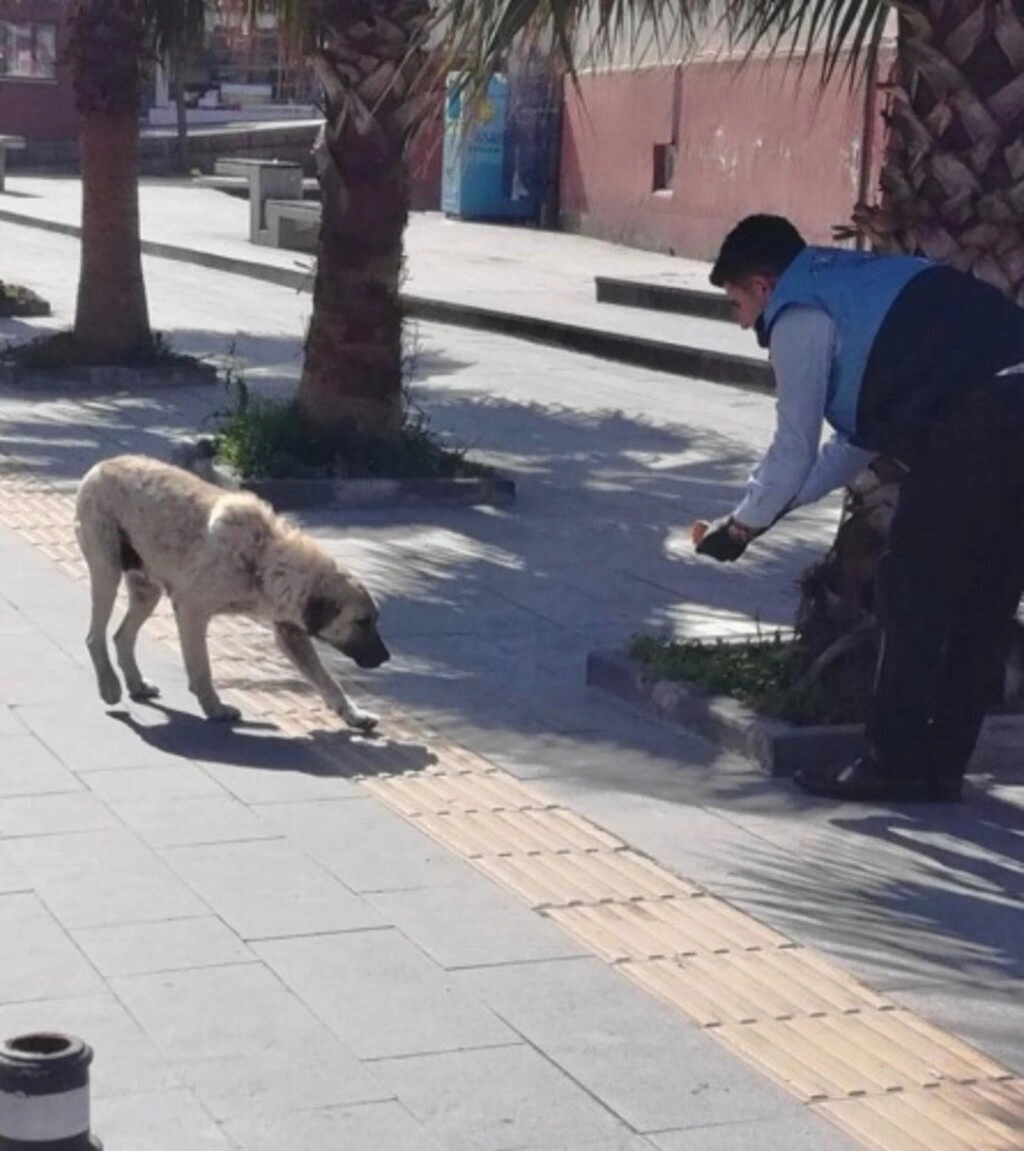 Tekkeköy Belediyesi yasak uygulamasında da boş durmadı! - Resim 3