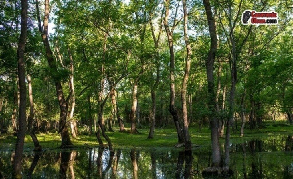 Dünya Mirası Kızılırmak Deltası'nı Gezmek Artık Daha Eğlenceli - Resim 32
