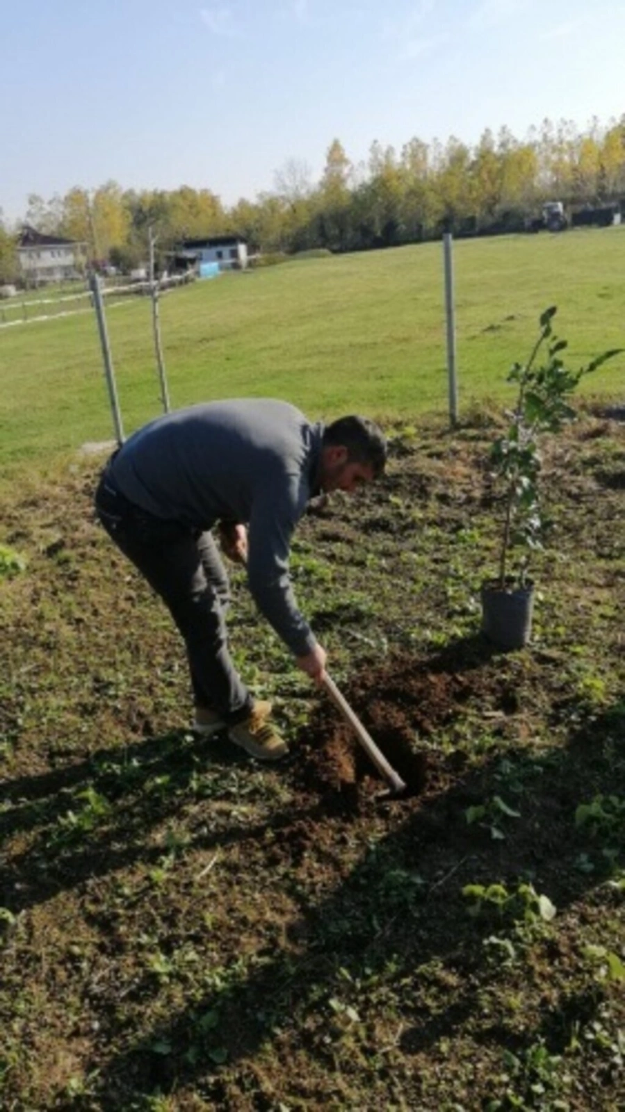 Şimşekler Taraftar Gruplar Birliği bin 500 fidan dikti - Resim 2