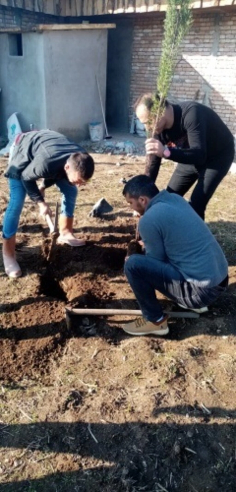 Şimşekler Taraftar Gruplar Birliği bin 500 fidan dikti - Resim 3