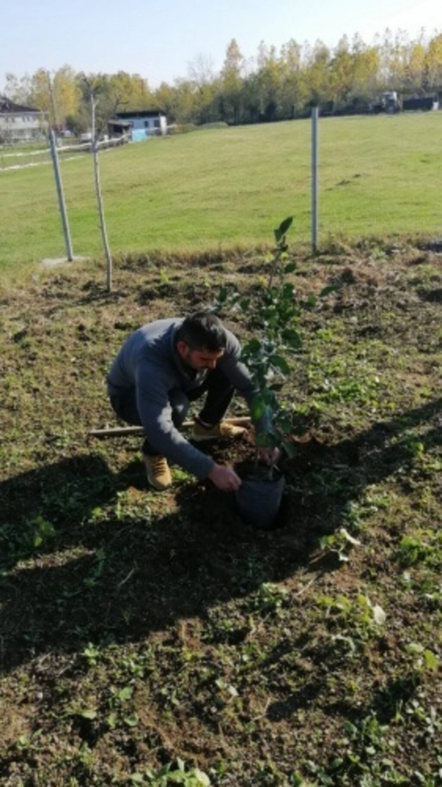 Şimşekler Taraftar Gruplar Birliği bin 500 fidan dikti - Resim 4