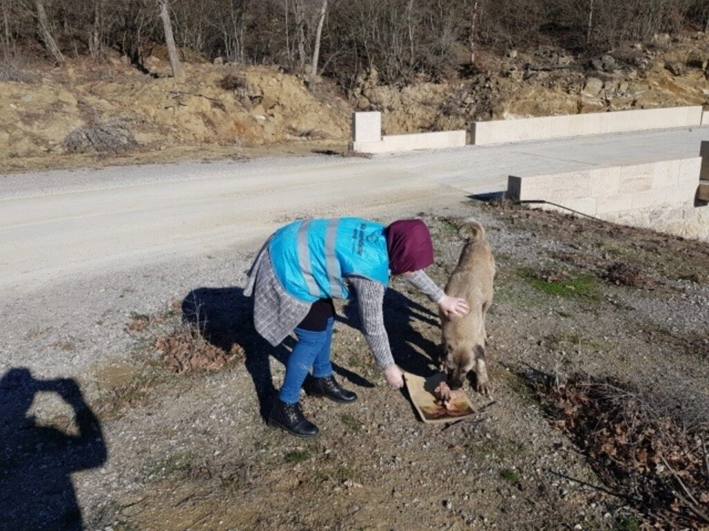 Hayata Anlam Katanlar Derneği yeni yıla da anlam kattı - Samsun Haber - Resim 7