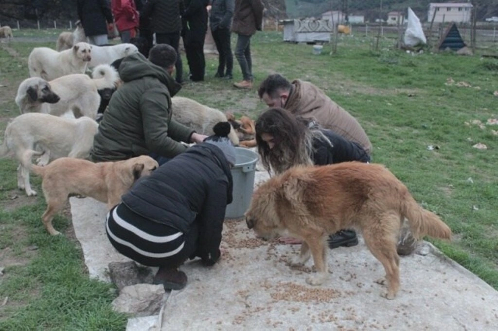 Sevdamız Samsun'dan 'Bir kap su bir kapak yemek’ kampanyasına destek - Resim 3