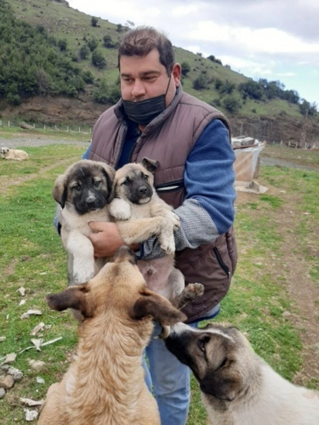 Canik Hayvan Severler Derneği can dostlarına yeni yuvalar kazandırıyor - Resim 2