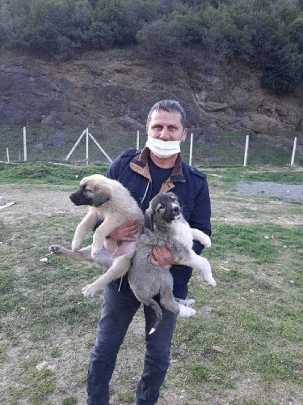 Canik Hayvan Severler Derneği can dostlarına yeni yuvalar kazandırıyor - Resim 4
