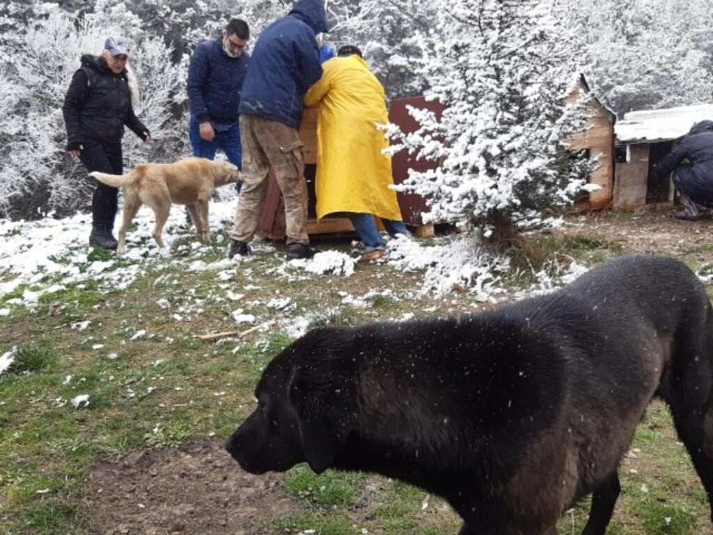 Ekolojik Yaşam Bisiklet Derneği'nden Orman Çocuklarına Kulübe - Resim 4