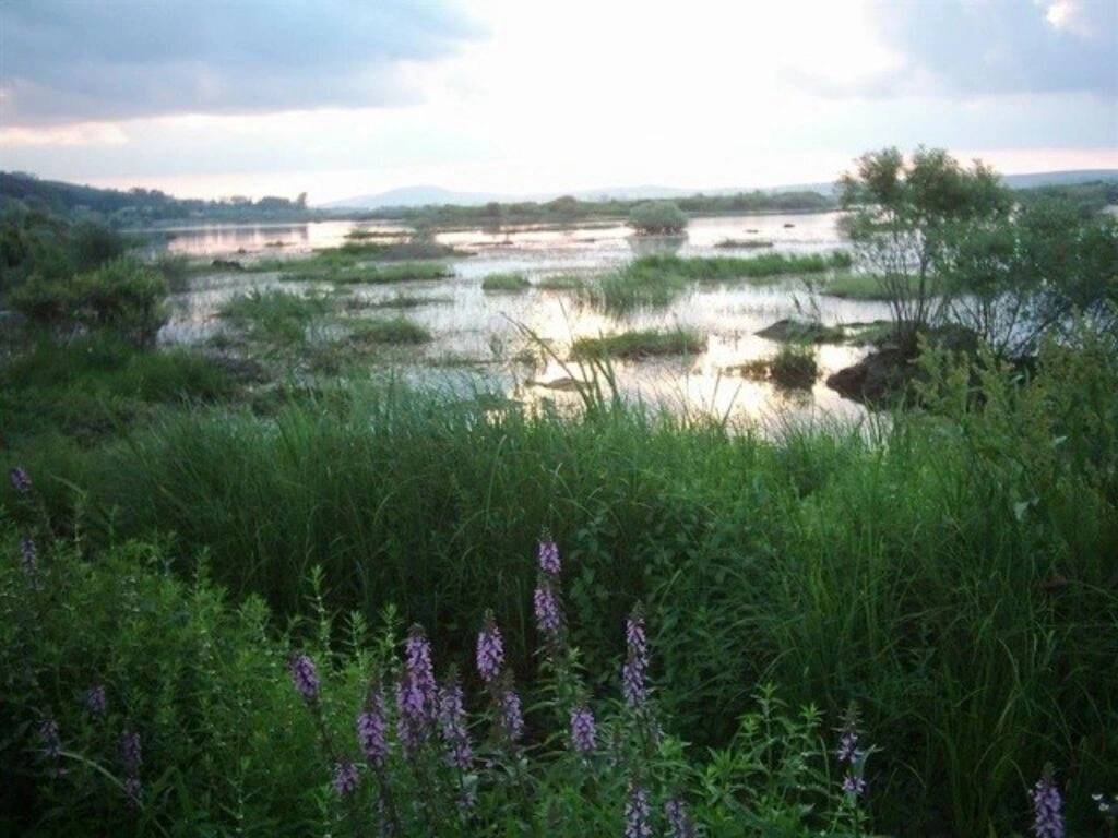 Samsun Ladik Gölü Fotoğrafları - Resim 4