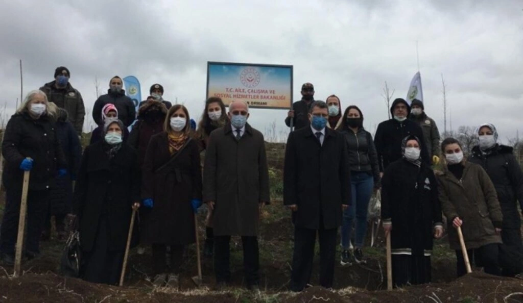 Mercan Hatıra Ormanı Fidan Dikim Etkinliği - Samsun Haber - Resim 1