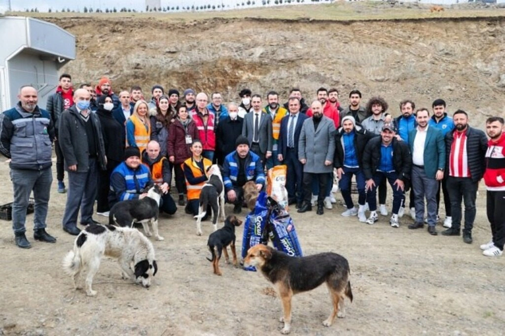 Samsunsporlu sporcular sokak canlılarını besledi - Resim 3