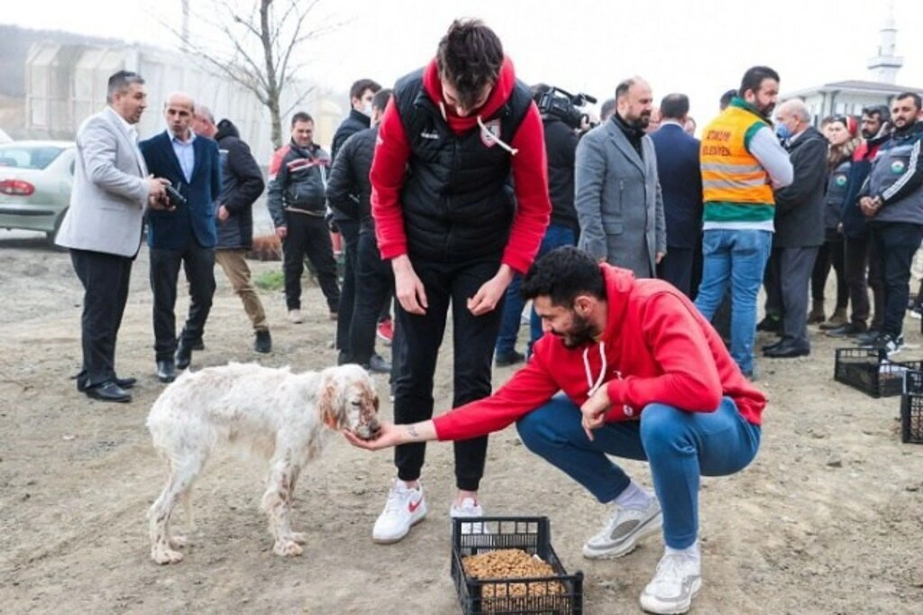 Samsunsporlu sporcular sokak canlılarını besledi - Resim 4