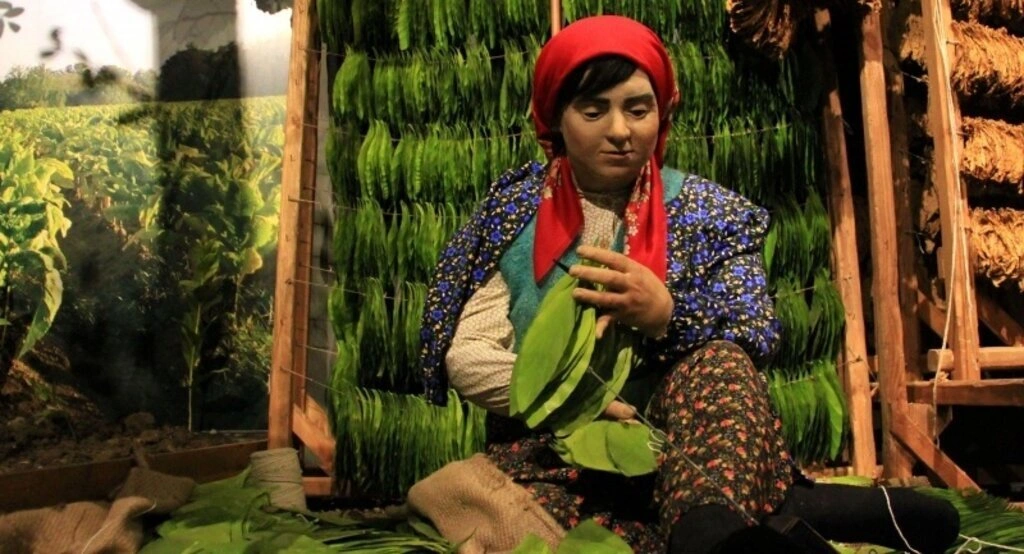 Samsun Kent Müzesi Avrupa'nın en prestijli 6 müzesinden biri seçildi - Resim 7