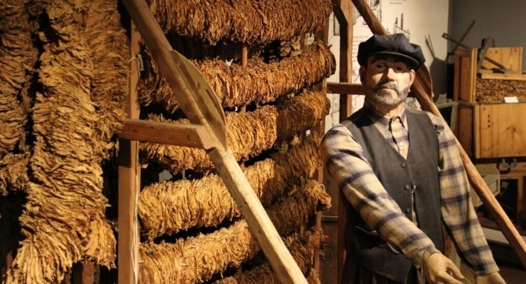 Samsun Kent Müzesi Avrupa'nın en prestijli 6 müzesinden biri seçildi - Resim 12