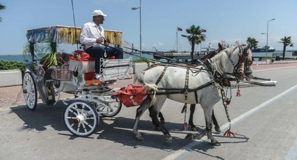 Faytoncuların nostalji mesaisi - Resim 3