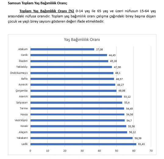 Atakum’un nüfusu 250 bini aştı! Tablolarla Atakum'un nüfus durumu - Resim 6