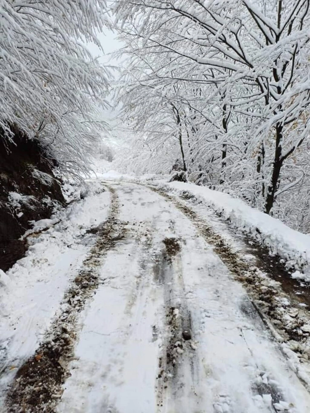 Samsun'da 70 cm Kar, Köpek Karın İçinde Kayboldu! Samsun'dan Kar Manzaraları - Resim 18
