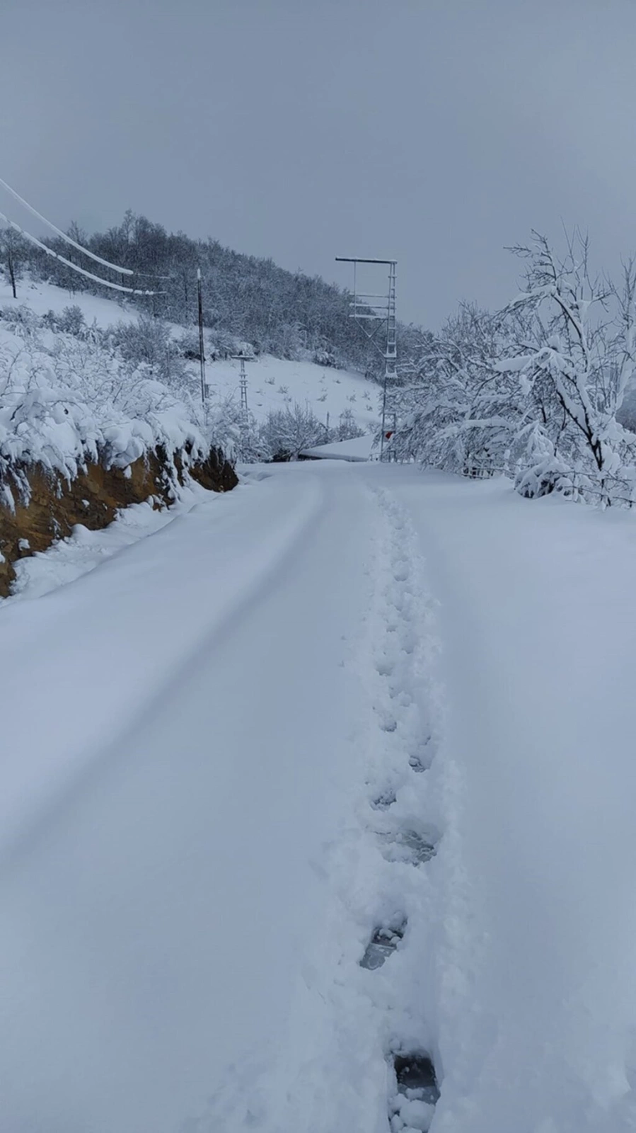 Samsun'da 70 cm Kar, Köpek Karın İçinde Kayboldu! Samsun'dan Kar Manzaraları - Resim 20