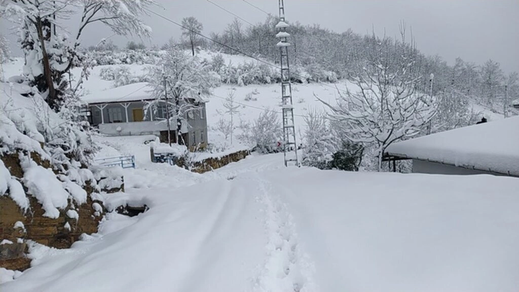 Samsun'da 70 cm Kar, Köpek Karın İçinde Kayboldu! Samsun'dan Kar Manzaraları - Resim 33