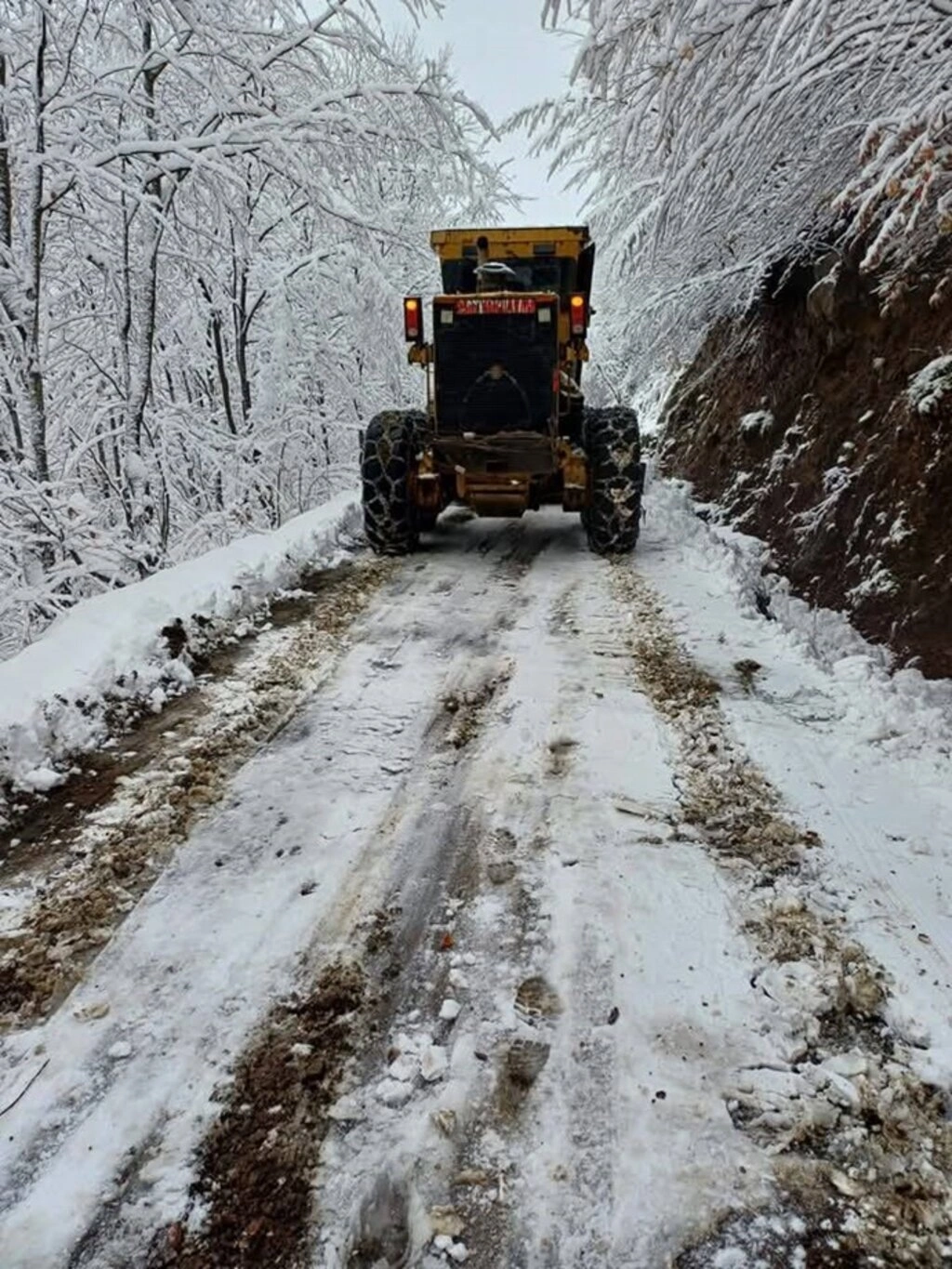 Samsun'da 70 cm Kar, Köpek Karın İçinde Kayboldu! Samsun'dan Kar Manzaraları - Resim 46