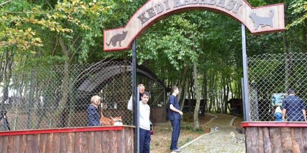 Samsun'da 4 Ekim Hayvanları Koruma Günü etkinliği - Resim 7