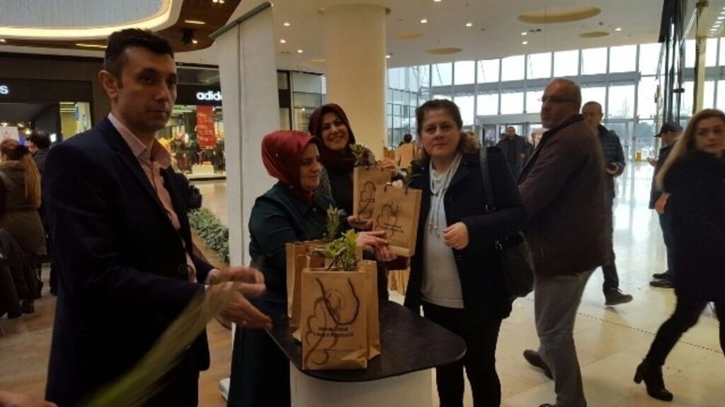 Samsun Orman Fidanlık Müdürlüğü Piazza AVM'de fidan dağıttı - Resim 1