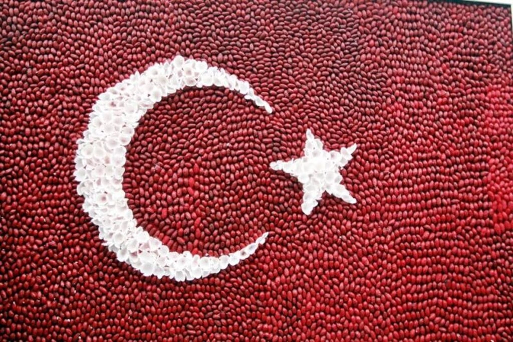 Farklı materyal kullanarak yapılan Türk bayrağı tabloları sergileniyor - Resim 1