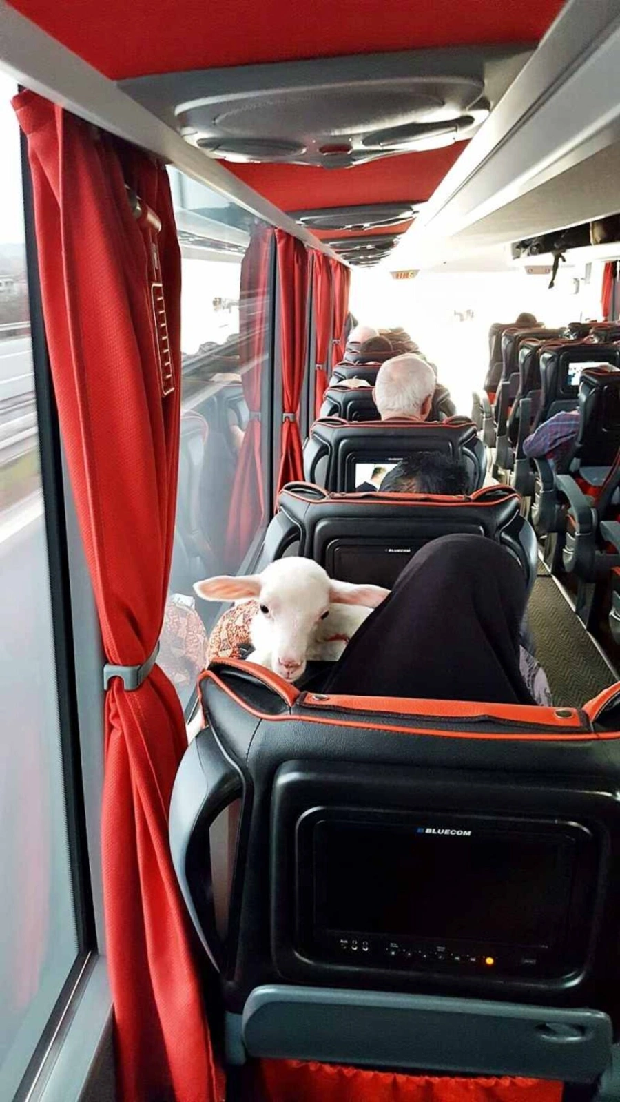 Sevgi'nin Kareleri Fotoğraflandı - Resim 6
