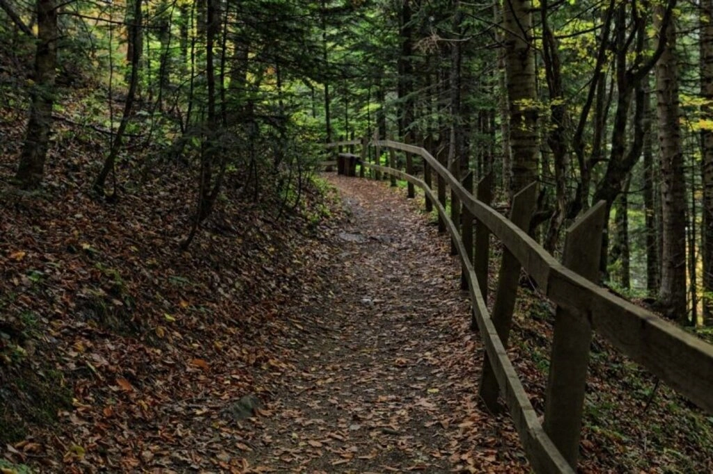 Karadeniz'de sonbahar bir başka güzel - Karadeniz'den sonbahar manzara fotoğrafları - Resim 1